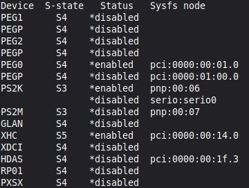 Auszug der Liste mit Geräten. Befehl: cat /proc/acpi/wakeup